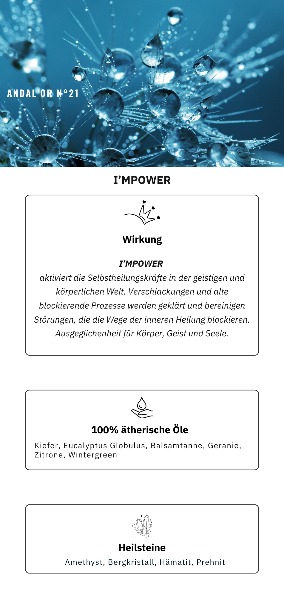 ANDAL’OR N°21 I'MPower – Bild 4