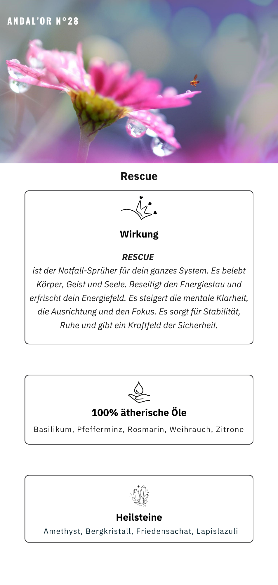 ANDAL’OR N°28 Rescue – Bild 4