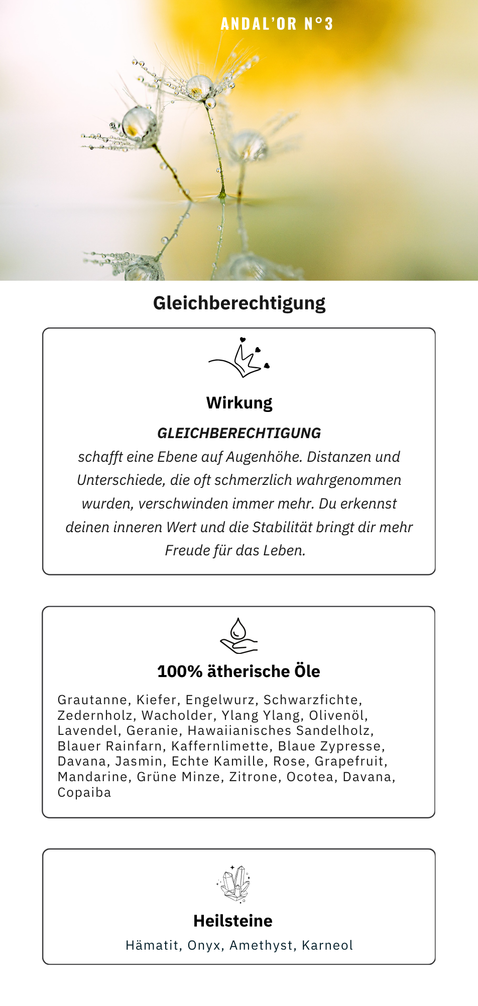 ANDAL’OR N°3 Gleichberechtigung – Bild 4