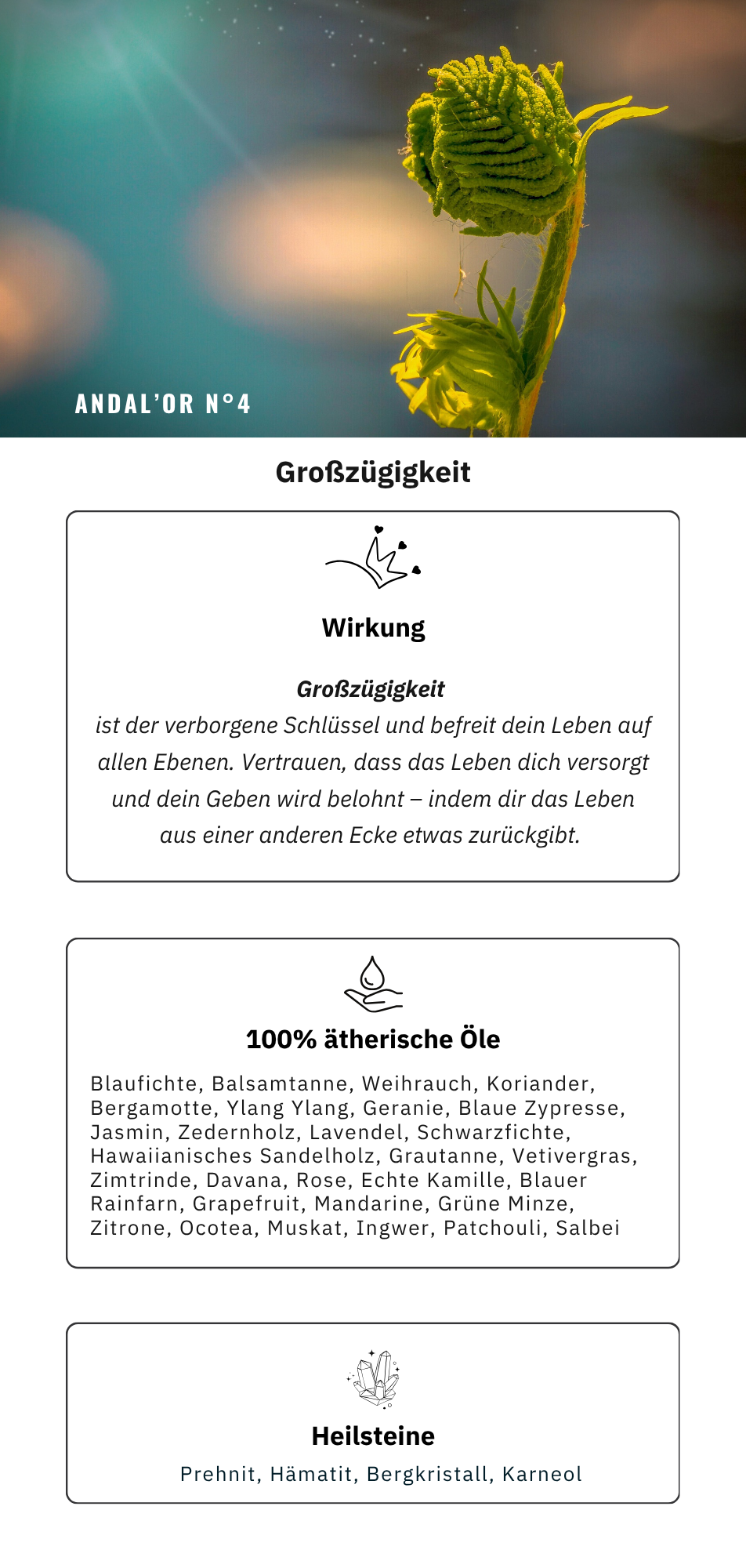 ANDAL’OR N°4 Großzügigkeit – Bild 4