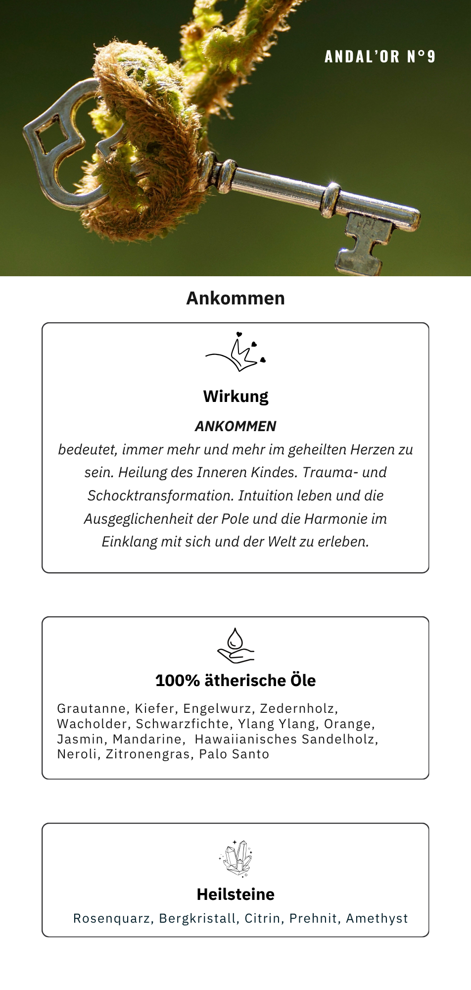 ANDAL’OR N°9 Ankommen – Bild 4
